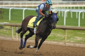 0502S_boersma_horse_kentucky_derby.jpg