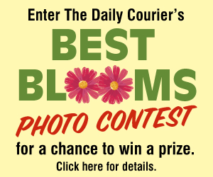 best_blooms_contest_box.jpg